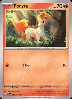 Ponyta
