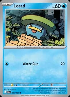 Lotad